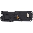 Haut parleur pour SAMSUNG A54 5G - A546 2023