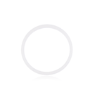 Lot de 100 joints toriques de lentilles caméra arrière pour iPhone 8 - SE 2020 - SE 2022
