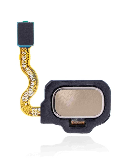 Lecteur d'empreintes digitales avec nappe pour SAMSUNG S8 - S8 Plus - Or