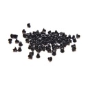 Lot de 100 vis pour clavier MacBook - Philips PH000