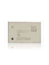 Wifi IC pour iPhone 5 - iPad 4 - 339S0171